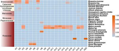 Metabarcoding Analysis of Pollen Species Foraged by Osmia excavata Alfken (Hymenoptera: Megachilidae) in China